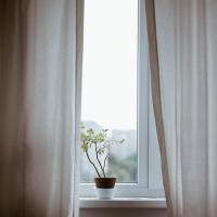 4 Signs It's Time to Replace Your Window Screening Splines